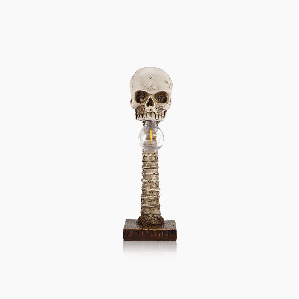 Horror Skull with Spine Lamp