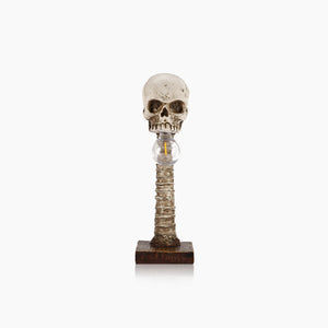 Horror Skull with Spine Lamp