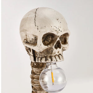 Horror Skull with Spine Lamp