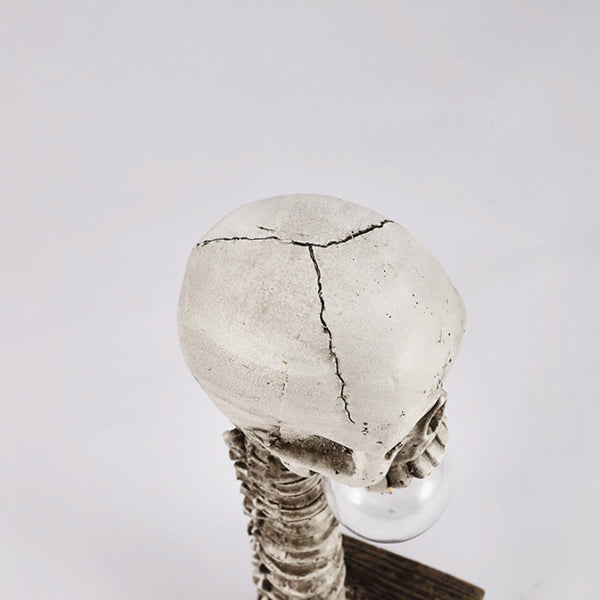 Horror Skull with Spine Lamp