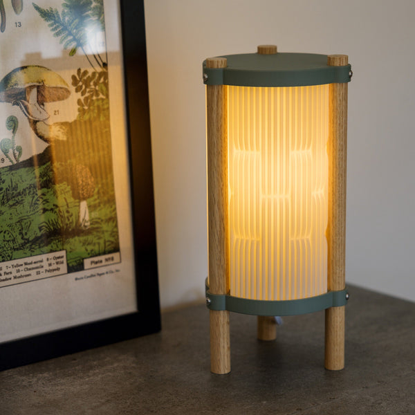 Terra Labs Toro Table Lamp