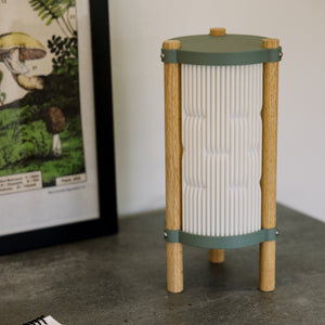 Terra Labs Toro Table Lamp