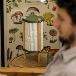 Terra Labs Toro Table Lamp