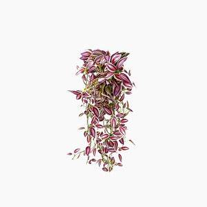 Long Artificial Hanging Vines Leaves