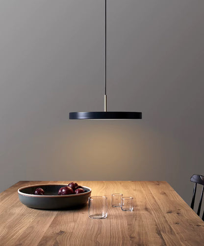 Round Plate Remote Control Pendant Ceiling Light