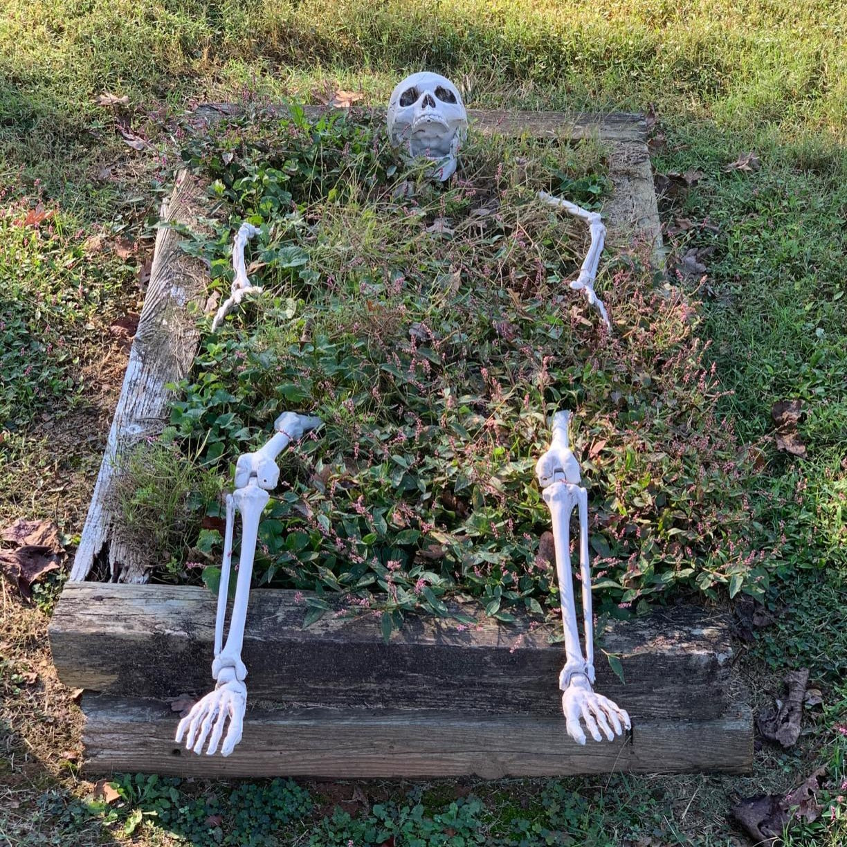 Skeleton Stakes Halloween Graveyard Decor