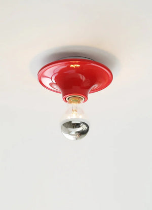 Vintage Industrial Exposed Dish Wall Ceiling Lamp