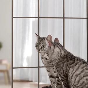 Windowpane Black Wall Mirror