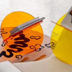 Cololred Acrylic Book Stand  Storage Shelf