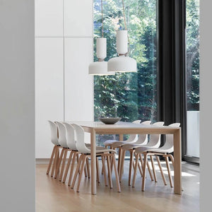 Illusion Art Iron Pendant Led Ceiling Light Chandelier