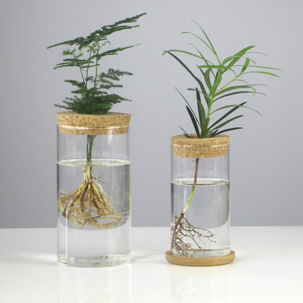 retro hydroponic plants Mini Vintage Hydroponic Flower Glass Pot