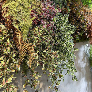 Long Artificial Hanging Vines Leaves