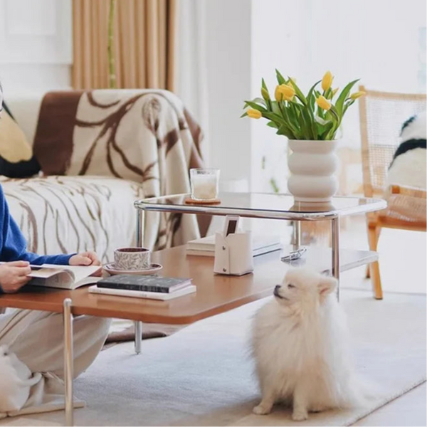 MCM 2-Tier Solid Wood & Glass Coffee Table