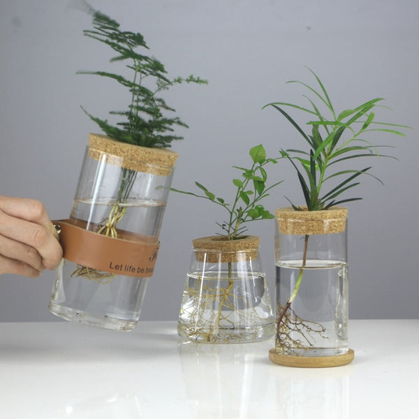 retro hydroponic plants Mini Vintage Hydroponic Flower Glass Pot