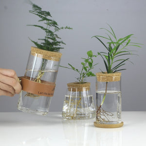 Mini Vintage Hydroponic Flower Glass Pot