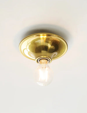 Vintage Industrial Exposed Dish Wall Ceiling Lamp