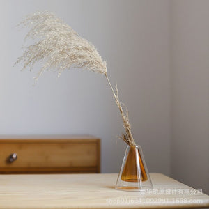 Double Glass Hydroponic Plant Vase