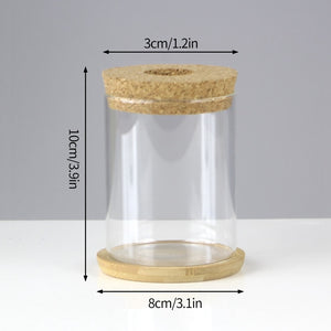 Mini Vintage Hydroponic Flower Glass Pot