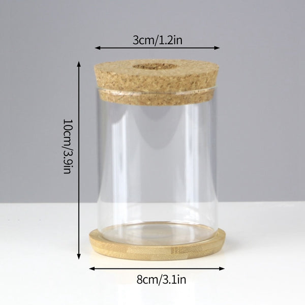 Mini Vintage Hydroponic Flower Glass Pot