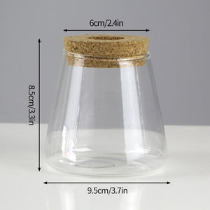 Mini Vintage Hydroponic Flower Glass Pot