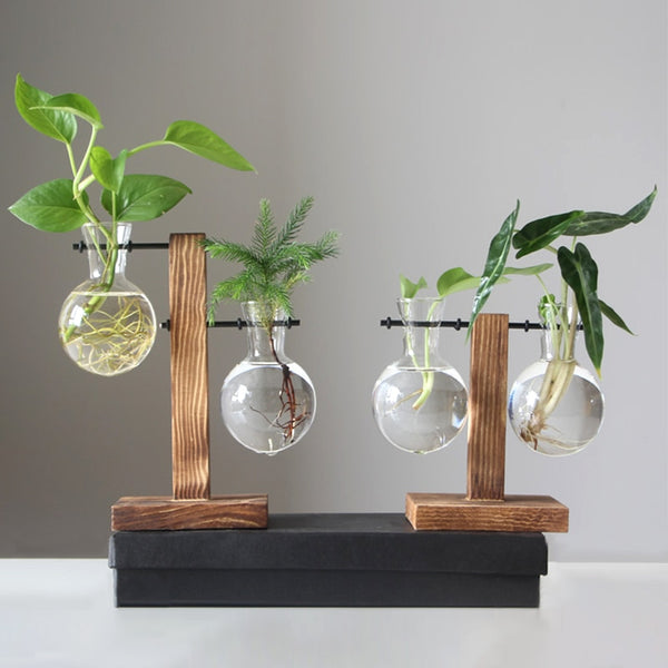 Hydroponischer Blumentopf aus Glas mit Holzsockel im Vintage-Stil