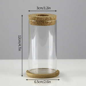 Mini Vintage Hydroponic Flower Glass Pot