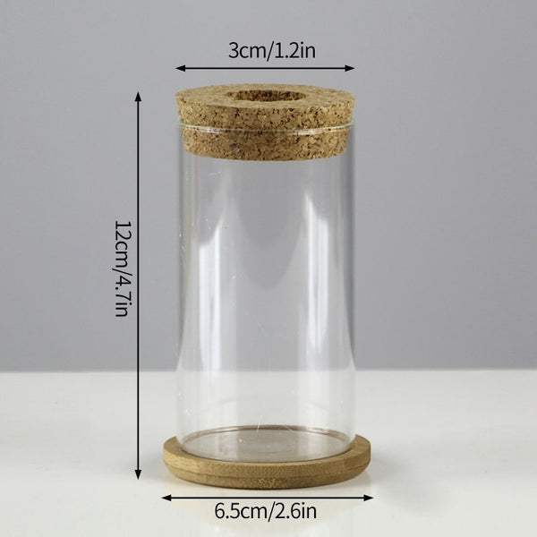 Mini Vintage Hydroponic Flower Glass Pot