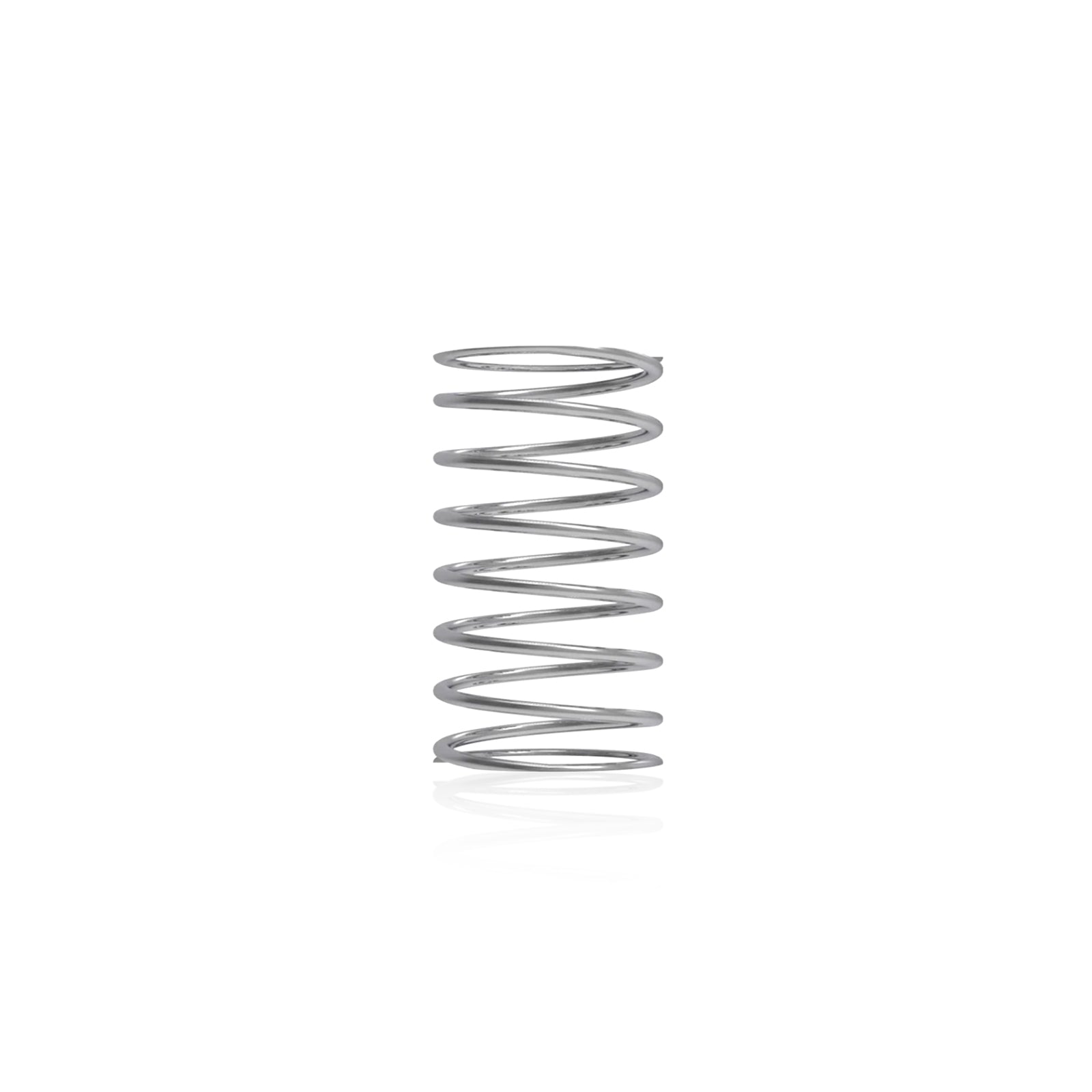 Standardheld Spring Stainless Steel Cylindrical Spring Stand Holder