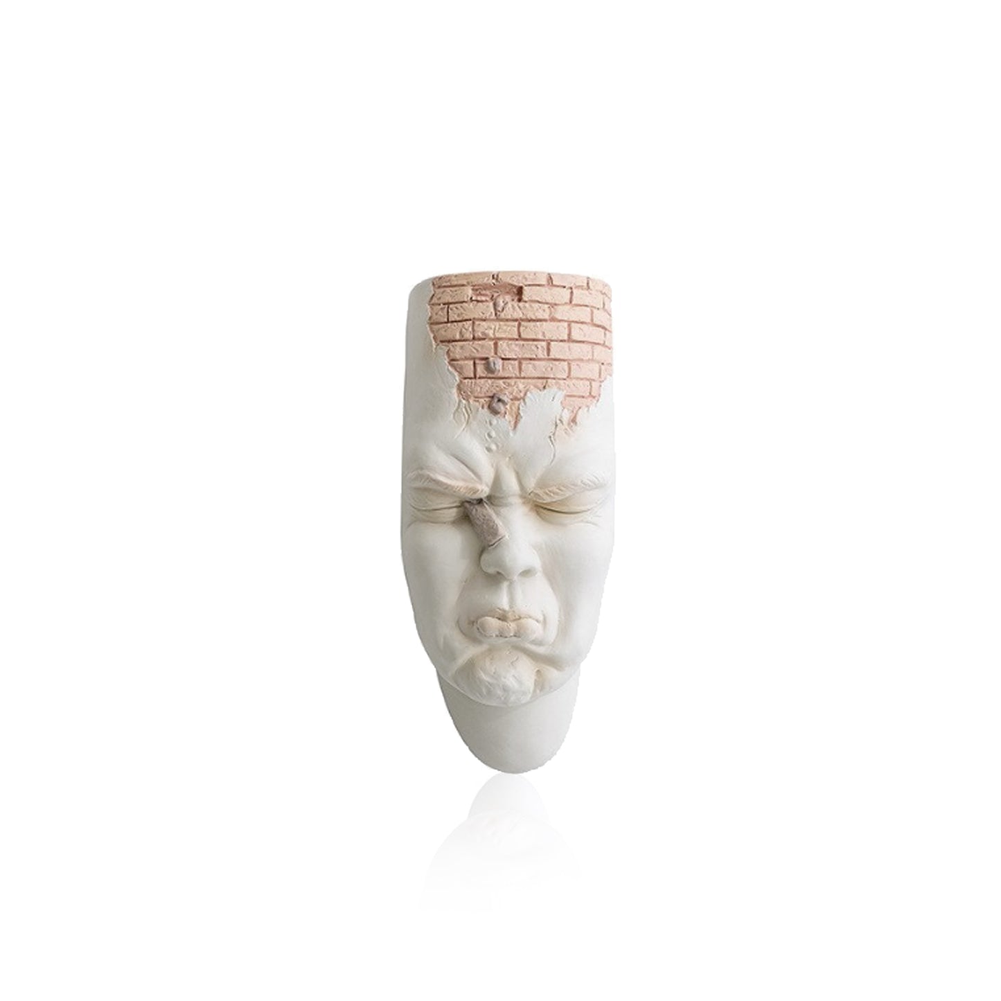 Face Expression Wall Hanging Flower Pot