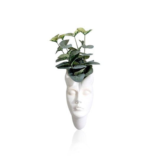 Face Expression Wall Hanging Flower Pot
