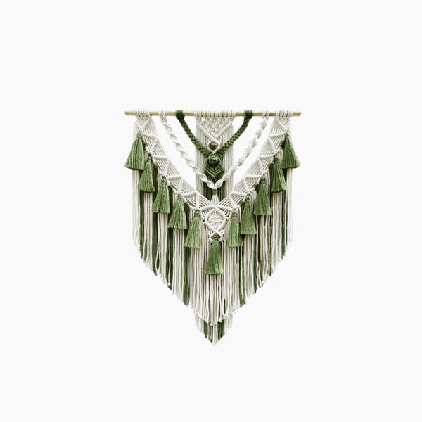 Hand-Woven Color Macrame Tapestry