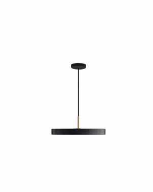 Carl Lighting Round Plate Remote Control Pendant Ceiling Light