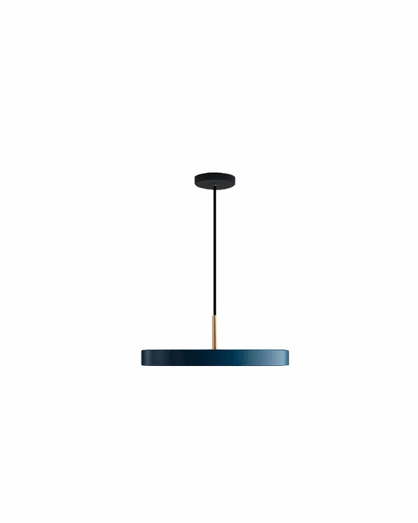 Carl Lighting Round Plate Remote Control Pendant Ceiling Light