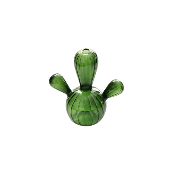 Cactus Glass Hydroponics Plant Vase