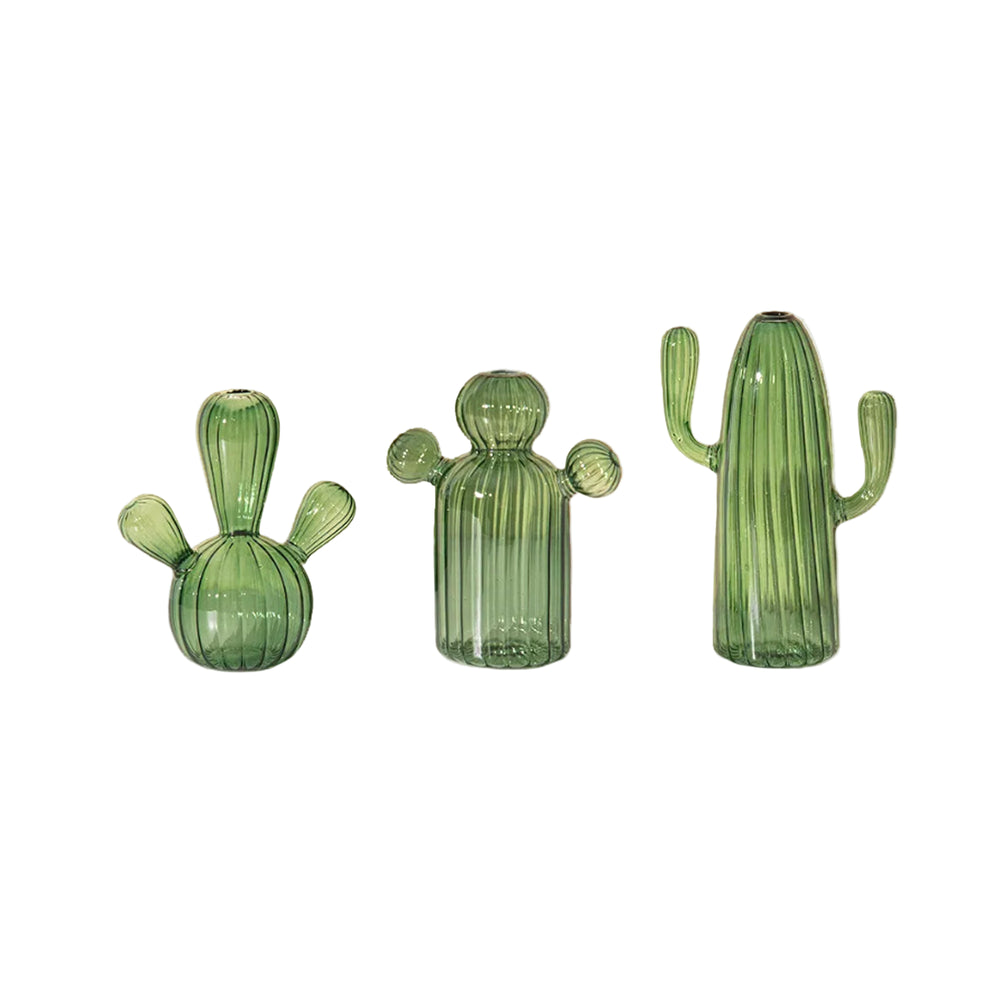 Cactus Glass Hydroponics Plant Vase