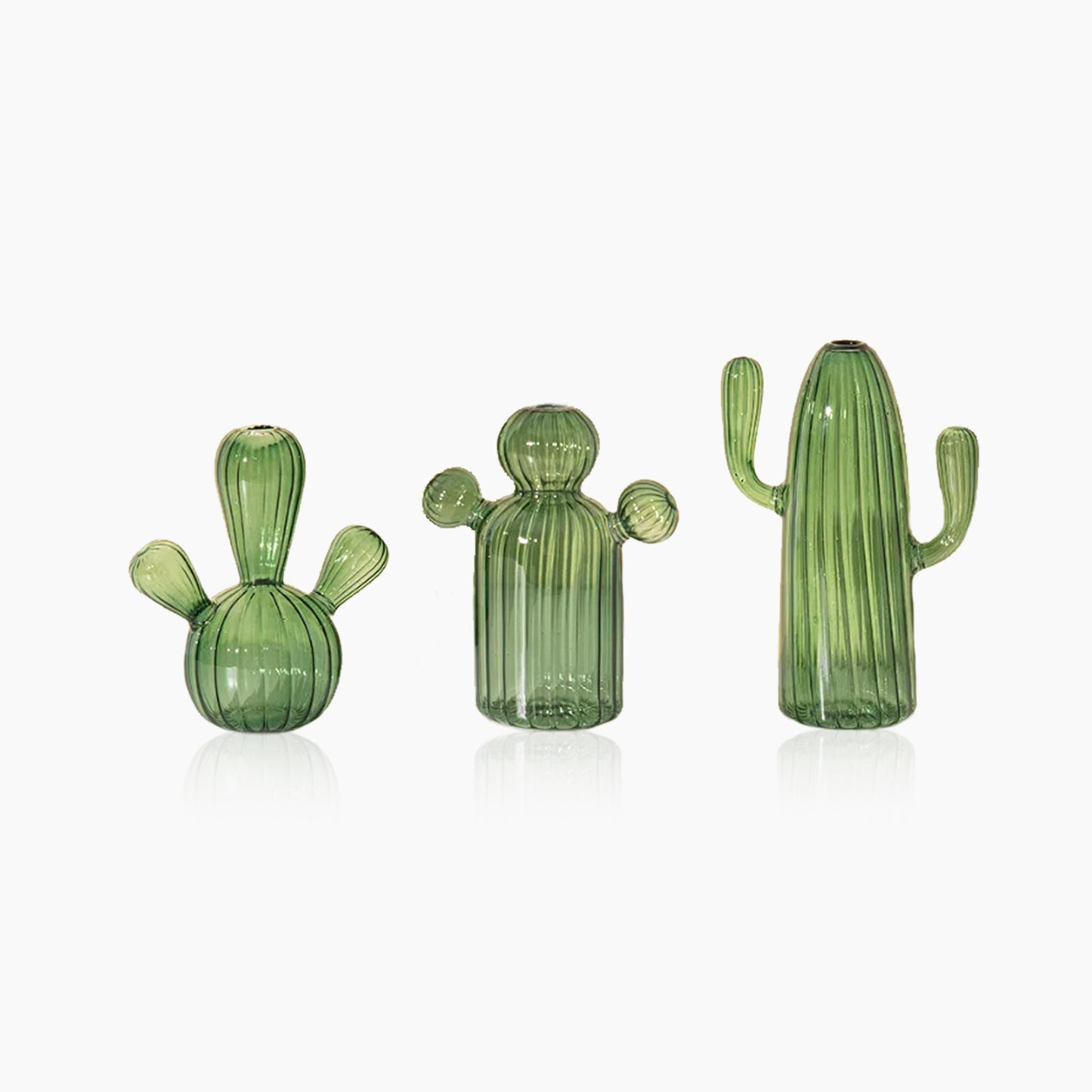 Cactus Glass Hydroponics Plant Vase