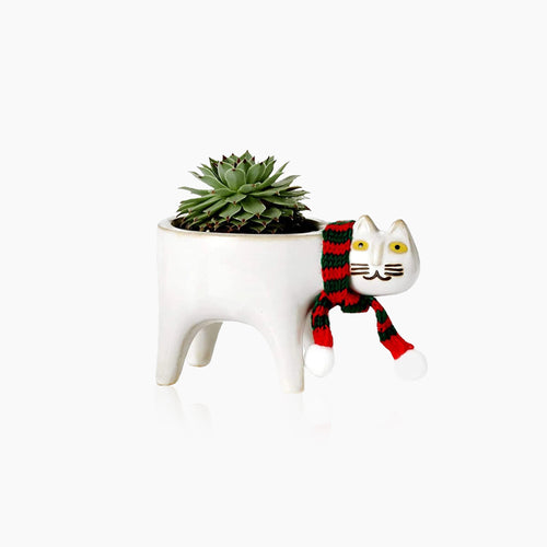 Cat Tail Hand-Crafted Flower Pot