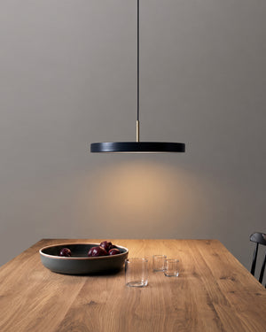 Carl Lighting Round Plate Remote Control Pendant Ceiling Light