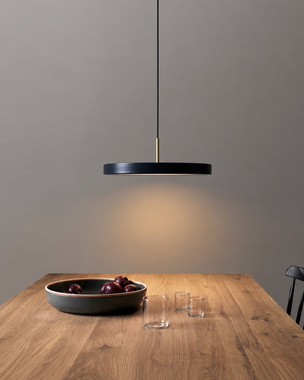Carl Lighting Round Plate Remote Control Pendant Ceiling Light