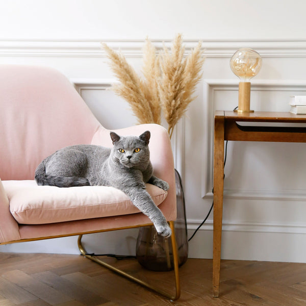 Tala Knuckle Table Lamp + Voronoi I