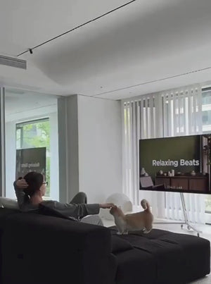 Studio Lima Stainless Steel V-Stand TV Holder