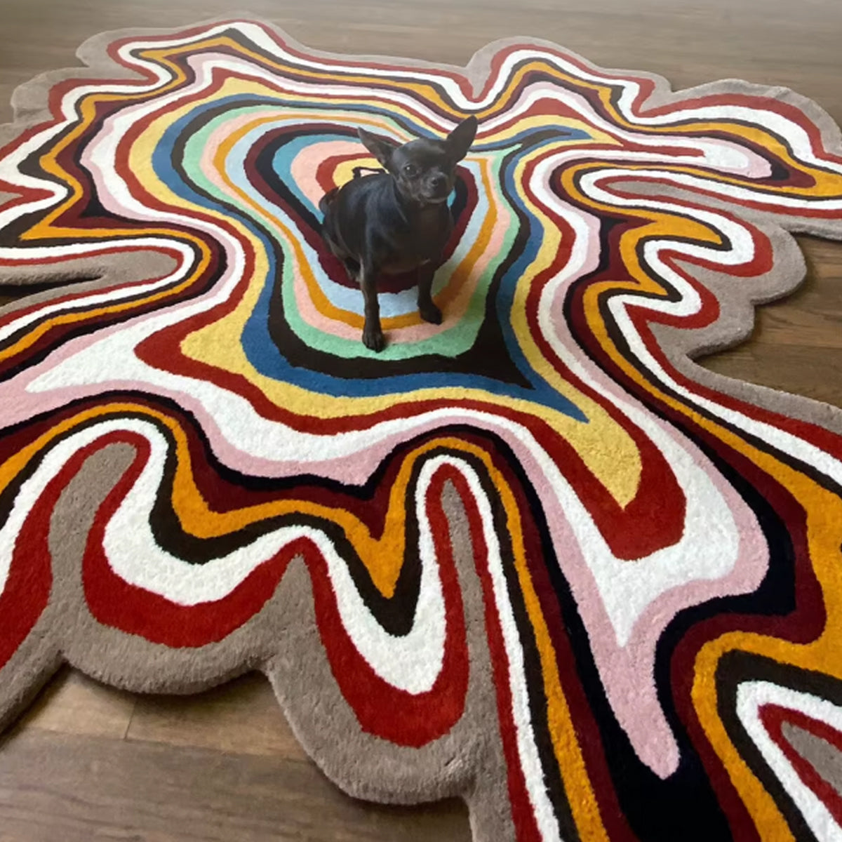 Irregular Rainbow Plush Carpet Area Rug