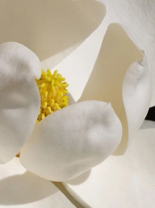 Carl Lighting Ceramic White Magnolia Jade Chandelier