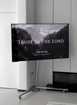 Studio Lima Stainless Steel V-Stand TV Holder