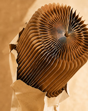Foldwell Honeycomb Paper Room Divider