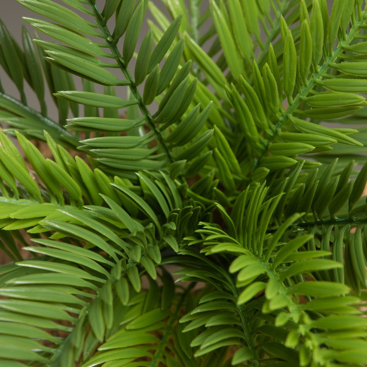 18 Leaves Artificial Sago Cycas - OnShelf