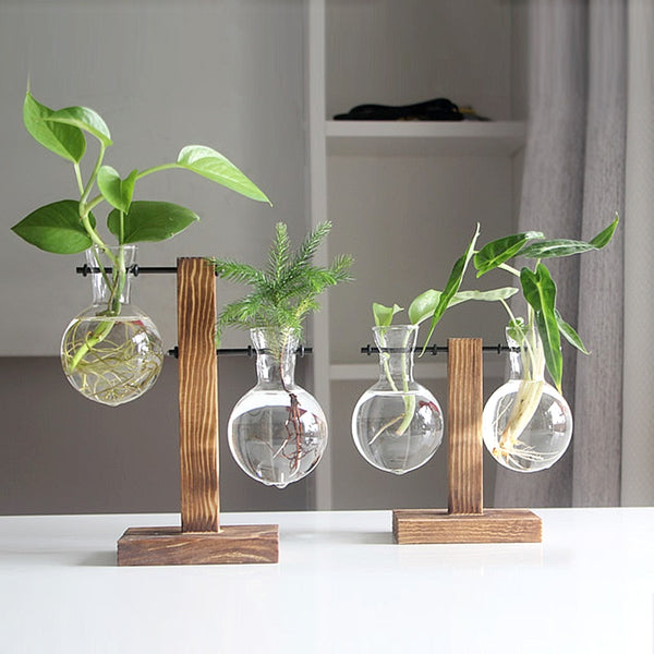 Hydroponischer Blumentopf aus Glas mit Holzsockel im Vintage-Stil