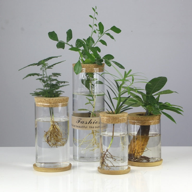 Mini Vintage Hydroponic Flower Glass Pot